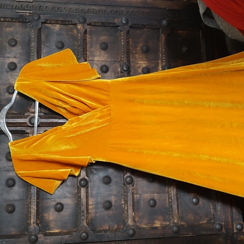 Marigold Sunshine Yellow Orange Velvet Formal Maxi Dress Lined Size 4